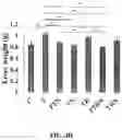 Fig. 10 - Compositions and methods for enhancing cancer radiotherapy