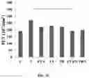 Fig. 13 - Compositions and methods for enhancing cancer radiotherapy