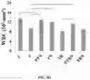 Fig. 14 - Compositions and methods for enhancing cancer radiotherapy