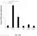 Fig. 42 - Compositions and methods for enhancing cancer radiotherapy