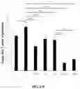 Fig. 45 - Compositions and methods for enhancing cancer radiotherapy