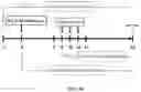 Fig. 50 - Compositions and methods for enhancing cancer radiotherapy