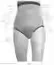 Fig. 03 - Garment with multiple regions