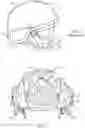 Fig. 02 - Helmet cover assembly having at least one mounting device