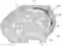 Fig. 01 - Helmet with sweat gutter