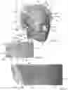 Fig. 02 - Helmet with sweat gutter