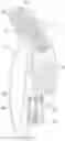 Fig. 01 - Care instrument