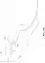 Fig. 09 - Applicator for artificial lash extensions