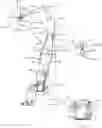 Fig. 01 - PORTABLE SUSPENSION SEAT