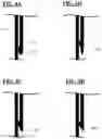 Fig. 07 - RETAINING DEVICE FOR SECURING AN ARTICLE IN A POCKET