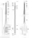 Fig. 13 - Applicator device