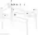 Fig. 01 - ASSEMBLY TABLE