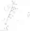 Fig. 04 - SHELF SYSTEMS WITH ADHESIVE SUPPORTS
