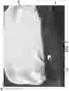 Fig. 08 - Mattress with variable height and hardness and method for adjusting the height and hardness of the same