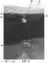 Fig. 09 - Mattress with variable height and hardness and method for adjusting the height and hardness of the same