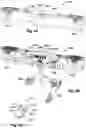 Fig. 07 - Powered chairs for public venues, assemblies for use in powered chairs, and components for use in assemblies for use in powered chairs