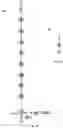 Fig. 27 - Powered chairs for public venues, assemblies for use in powered chairs, and components for use in assemblies for use in powered chairs