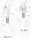 Fig. 11 - Package receptacle and theft deterrent device and system