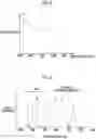 Fig. 05 - Endoscope system