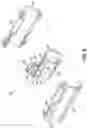 Fig. 08 - METHODS AND DEVICES FOR DETECTING BIOFILMS ON THE EYELID MARGIN