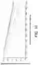 Fig. 09 - Confocal scanning laser ophthalmoscope