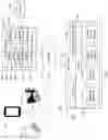 Fig. 02 - VIRTUAL ASSISTANT IN PULSE OXIMETER FOR PATIENT SURVEYS