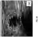 Fig. 15 - Systems and methods of optimizing functional images of a lesion region using guided diffuse optical tomography