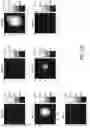 Fig. 27 - Systems and methods of optimizing functional images of a lesion region using guided diffuse optical tomography