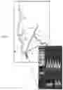 Fig. 08 - SYSTEMS AND METHODS FOR DIAGNOSING CORONARY MICROVASCULAR DISEASE