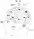Fig. 16 - Method for diagnosing cognitive disorder, and computer program