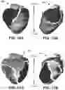 Fig. 09 - Systems and methods for assessing heart function