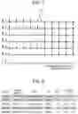 Fig. 07 - Electrocardiogram analysis apparatus and electrocardiogram system