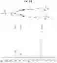 Fig. 06 - Hyperpolarized and deuterium exchanged hyperpolarizedC and N-labeled xanthine, arginine, glutamine, and urea probes