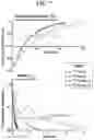 Fig. 09 - Hyperpolarized and deuterium exchanged hyperpolarizedC and N-labeled xanthine, arginine, glutamine, and urea probes