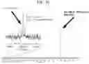 Fig. 13 - Hyperpolarized and deuterium exchanged hyperpolarizedC and N-labeled xanthine, arginine, glutamine, and urea probes