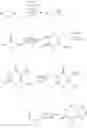 Fig. 36 - Hyperpolarized and deuterium exchanged hyperpolarizedC and N-labeled xanthine, arginine, glutamine, and urea probes