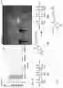 Fig. 10 - High-isolation transmit/receive surface coils for EPRI