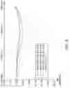 Fig. 09 - Volumetric Induction Phase Shift Detection System for Determining Tissue Water Content Properties