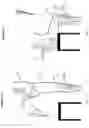 Fig. 08 - METHOD AND APPARATUS FOR CLASSIFYING POSITION OF TORSO AND LIMB OF A MAMMAL