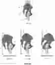 Fig. 13 - METHOD AND APPARATUS FOR CLASSIFYING POSITION OF TORSO AND LIMB OF A MAMMAL