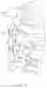 Fig. 05 - Interspinous implants