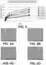 Fig. 03 - Carrier for oromucosal administration of physiologically active substances