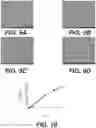 Fig. 05 - Carrier for oromucosal administration of physiologically active substances