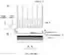 Fig. 11 - Electrically conductive concrete composition and system design for resistive heating of pavements with low volume fractions of carbon microfiber