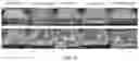 Fig. 15 - Electrically conductive concrete composition and system design for resistive heating of pavements with low volume fractions of carbon microfiber
