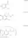 Fig. 09 - Photo-crosslinked hydrogel material and preparation, composition, and application thereof photo-crosslinked hydrogel