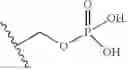 Fig. 10 - Soluble C5aR antagonists