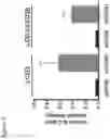 Fig. 08 - Engineered host cells and methods of use thereof