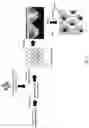 Fig. 06 - Methods of preparing hematopoietic progenitor cells in vitro
