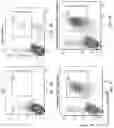 Fig. 08 - Methods of preparing hematopoietic progenitor cells in vitro